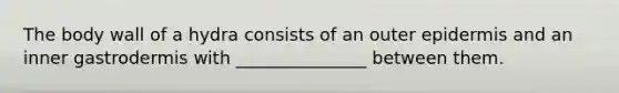 The body wall of a hydra consists of an outer epidermis and an inner gastrodermis with _______________ between them.