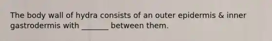 The body wall of hydra consists of an outer epidermis & inner gastrodermis with _______ between them.