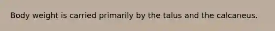 Body weight is carried primarily by the talus and the calcaneus.