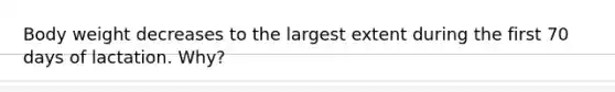 Body weight decreases to the largest extent during the first 70 days of lactation. Why?