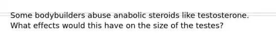 Some bodybuilders abuse anabolic steroids like testosterone. What effects would this have on the size of the testes?