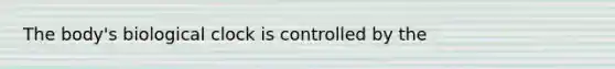 The body's biological clock is controlled by the