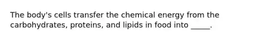 The body's cells transfer the chemical energy from the carbohydrates, proteins, and lipids in food into _____.