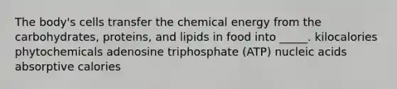 The body's cells transfer the chemical energy from the carbohydrates, proteins, and lipids in food into _____. kilocalories phytochemicals adenosine triphosphate (ATP) nucleic acids absorptive calories