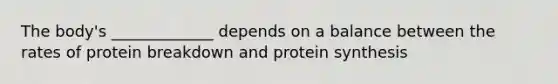 The body's _____________ depends on a balance between the rates of protein breakdown and protein synthesis