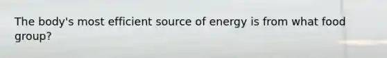 The body's most efficient source of energy is from what food group?