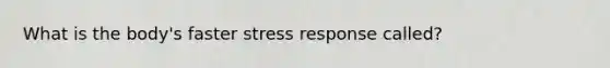 What is the body's faster stress response called?