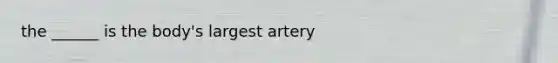 the ______ is the body's largest artery