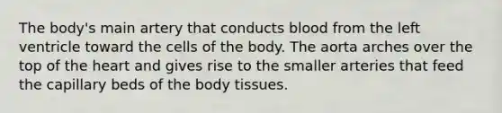 The body's main artery that conducts blood from the left ventricle toward the cells of the body. The aorta arches over the top of the heart and gives rise to the smaller arteries that feed the capillary beds of the body tissues.