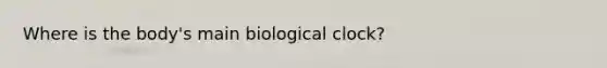 Where is the body's main biological clock?