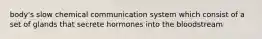 body's slow chemical communication system which consist of a set of glands that secrete hormones into the bloodstream