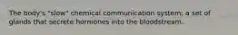 The body's "slow" chemical communication system; a set of glands that secrete hormones into the bloodstream.