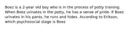 Boez is a 2-year old boy who is in the process of potty training. When Boez urinates in the potty, he has a sense of pride. If Boez urinates in his pants, he runs and hides. According to Erikson, which psychosocial stage is Boez