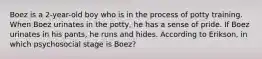 Boez is a 2-year-old boy who is in the process of potty training. When Boez urinates in the potty, he has a sense of pride. If Boez urinates in his pants, he runs and hides. According to Erikson, in which psychosocial stage is Boez?