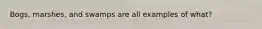 Bogs, marshes, and swamps are all examples of what?