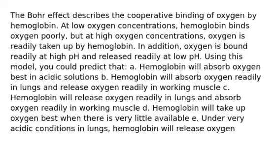 The Bohr effect describes the cooperative binding of oxygen by hemoglobin. At low oxygen concentrations, hemoglobin binds oxygen poorly, but at high oxygen concentrations, oxygen is readily taken up by hemoglobin. In addition, oxygen is bound readily at high pH and released readily at low pH. Using this model, you could predict that: a. Hemoglobin will absorb oxygen best in acidic solutions b. Hemoglobin will absorb oxygen readily in lungs and release oxygen readily in working muscle c. Hemoglobin will release oxygen readily in lungs and absorb oxygen readily in working muscle d. Hemoglobin will take up oxygen best when there is very little available e. Under very acidic conditions in lungs, hemoglobin will release oxygen