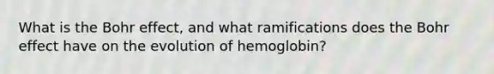 What is the Bohr effect, and what ramifications does the Bohr effect have on the evolution of hemoglobin?