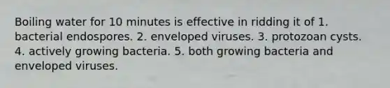 Boiling water for 10 minutes is effective in ridding it of 1. bacterial endospores. 2. enveloped viruses. 3. protozoan cysts. 4. actively growing bacteria. 5. both growing bacteria and enveloped viruses.