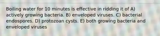 Boiling water for 10 minutes is effective in ridding it of A) actively growing bacteria. B) enveloped viruses. C) bacterial endospores. D) protozoan cysts. E) both growing bacteria and enveloped viruses