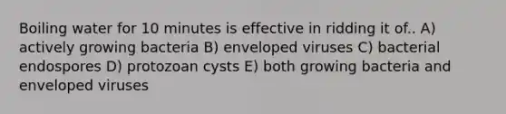 Boiling water for 10 minutes is effective in ridding it of.. A) actively growing bacteria B) enveloped viruses C) bacterial endospores D) protozoan cysts E) both growing bacteria and enveloped viruses