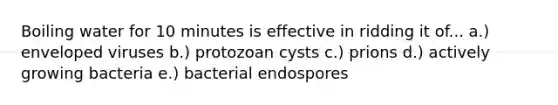 Boiling water for 10 minutes is effective in ridding it of... a.) enveloped viruses b.) protozoan cysts c.) prions d.) actively growing bacteria e.) bacterial endospores