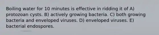 Boiling water for 10 minutes is effective in ridding it of A) protozoan cysts. B) actively growing bacteria. C) both growing bacteria and enveloped viruses. D) enveloped viruses. E) bacterial endospores.