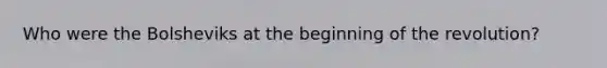 Who were the Bolsheviks at the beginning of the revolution?