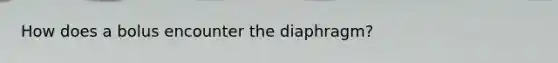 How does a bolus encounter the diaphragm?