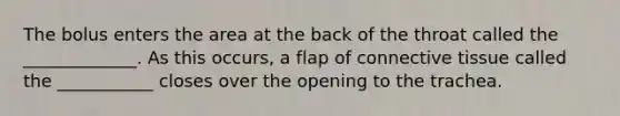 The bolus enters the area at the back of the throat called the _____________. As this occurs, a flap of <a href='https://www.questionai.com/knowledge/kYDr0DHyc8-connective-tissue' class='anchor-knowledge'>connective tissue</a> called the ___________ closes over the opening to the trachea.