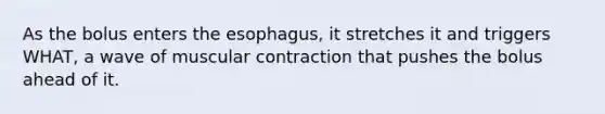 As the bolus enters the esophagus, it stretches it and triggers WHAT, a wave of muscular contraction that pushes the bolus ahead of it.