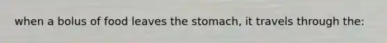 when a bolus of food leaves the stomach, it travels through the: