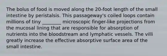 The bolus of food is moved along the 20-foot length of the small intestine by peristalsis. This passageway's coiled loops contain millions of tiny ________ microscopic finger-like projections from the mucosal lining that are responsible for absorption of nutrients into the bloodstream and lymphatic vessels. The villi greatly increase the effective absorptive surface area of the small intestine.