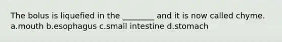 The bolus is liquefied in the ________ and it is now called chyme. a.mouth b.esophagus c.small intestine d.stomach