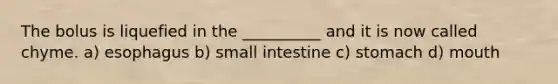 The bolus is liquefied in the __________ and it is now called chyme. a) esophagus b) small intestine c) stomach d) mouth