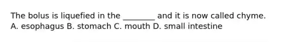 The bolus is liquefied in the ________ and it is now called chyme. A. esophagus B. stomach C. mouth D. small intestine