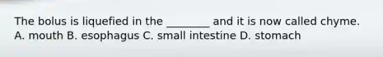 The bolus is liquefied in the ________ and it is now called chyme. A. mouth B. esophagus C. small intestine D. stomach