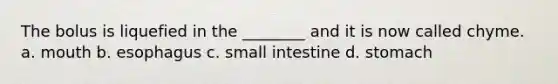 The bolus is liquefied in the ________ and it is now called chyme. a. mouth b. esophagus c. small intestine d. stomach