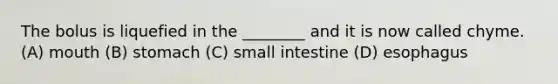 The bolus is liquefied in the ________ and it is now called chyme. (A) mouth (B) stomach (C) small intestine (D) esophagus