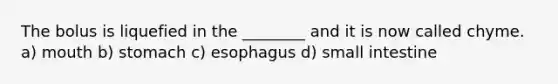 The bolus is liquefied in the ________ and it is now called chyme. a) mouth b) stomach c) esophagus d) small intestine