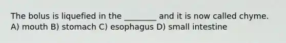 The bolus is liquefied in the ________ and it is now called chyme. A) mouth B) stomach C) esophagus D) small intestine