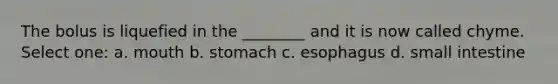 The bolus is liquefied in the ________ and it is now called chyme. Select one: a. mouth b. stomach c. esophagus d. small intestine