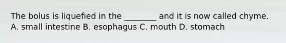 The bolus is liquefied in the ________ and it is now called chyme. A. small intestine B. esophagus C. mouth D. stomach