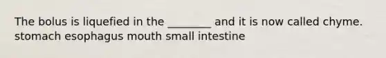 The bolus is liquefied in the ________ and it is now called chyme. stomach esophagus mouth small intestine