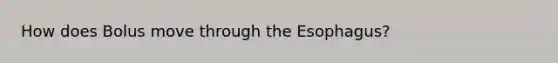 How does Bolus move through the Esophagus?