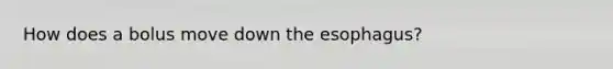 How does a bolus move down the esophagus?