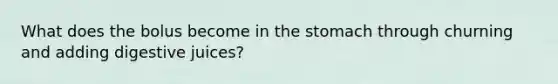 What does the bolus become in the stomach through churning and adding digestive juices?