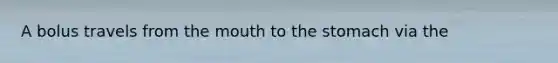 A bolus travels from the mouth to the stomach via the