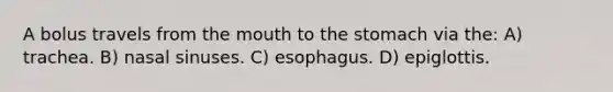 A bolus travels from the mouth to the stomach via the: A) trachea. B) nasal sinuses. C) esophagus. D) epiglottis.