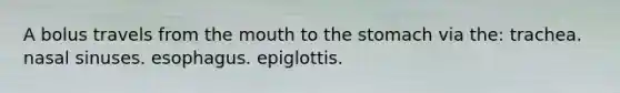 A bolus travels from the mouth to the stomach via the: trachea. nasal sinuses. esophagus. epiglottis.