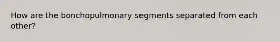 How are the bonchopulmonary segments separated from each other?